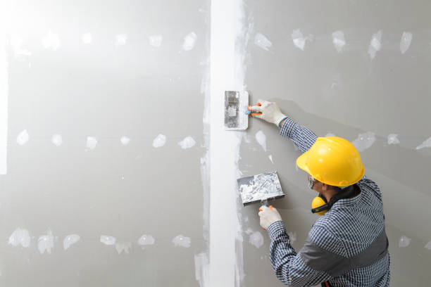 Best Fire-Damaged Drywall Repair  in Security Widefield, CO